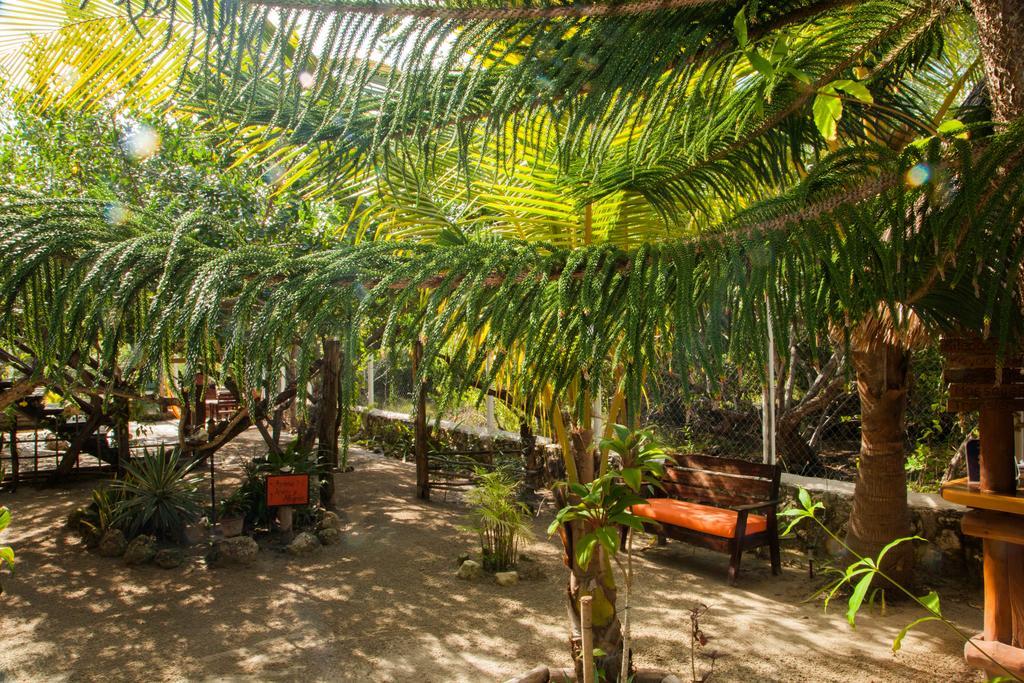 Villa Los Mangles Boutique Hotel Isola Holbox Esterno foto